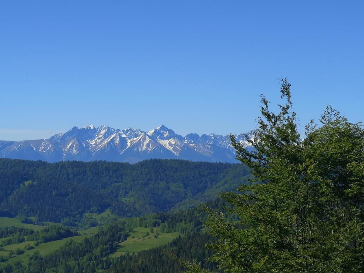 Gorczanskie Siedlisko Ochotnica Górna Exteriér fotografie