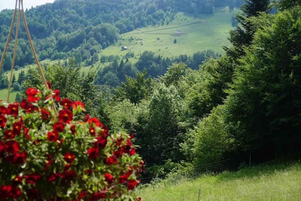Gorczanskie Siedlisko Ochotnica Górna Exteriér fotografie